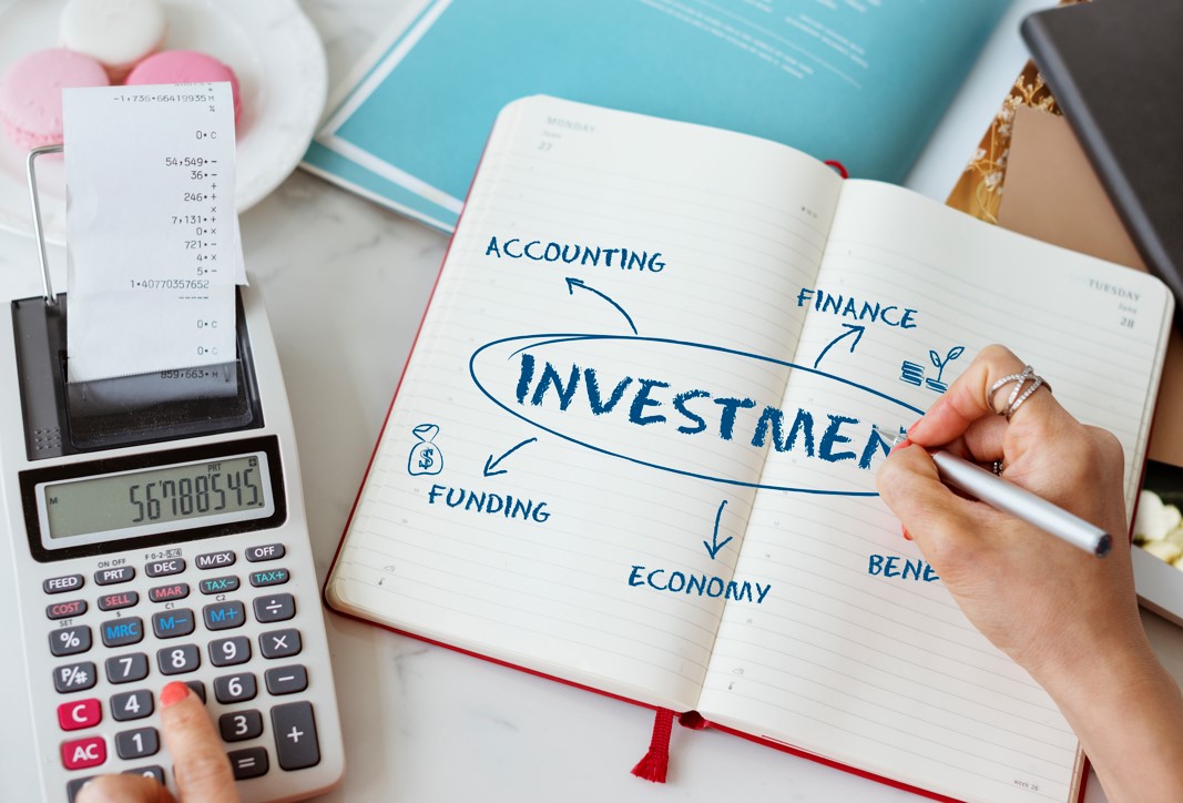 Capital Flows and Investment