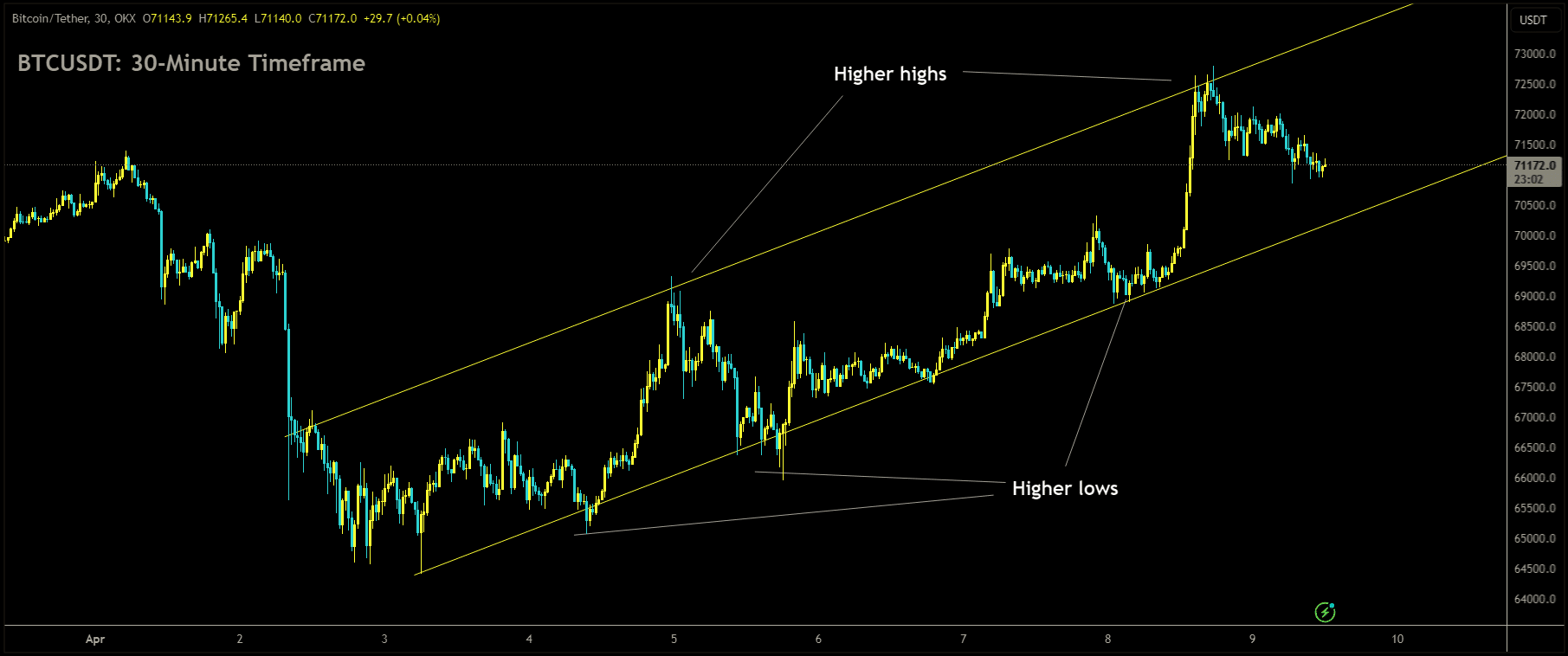 BTCUSDT is moving in Ascending channel and market has fallen from the higher high area of the channel.